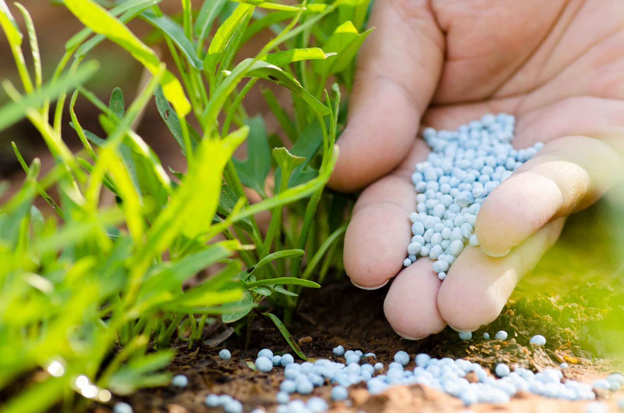 Conjuntos de fatores eleva preço dos insumos e aumenta custo de produção aos agricultores