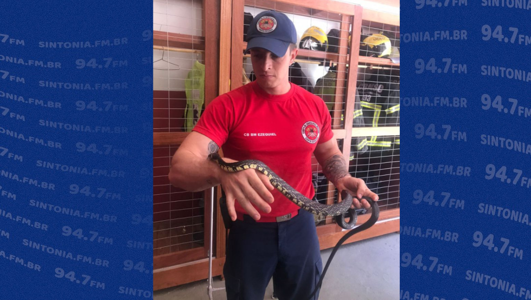 Corpo de Bombeiros Militar orienta sobre os cuidados com animais peçonhentos