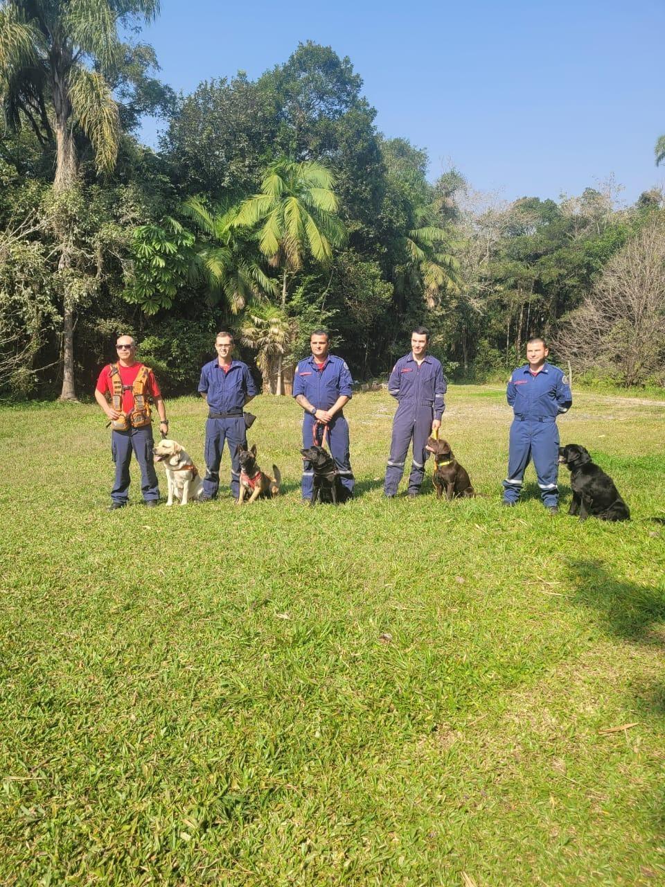 Corpo de Bombeiros Militar realiza treinamento especializado com cães de resgate no Alto Vale