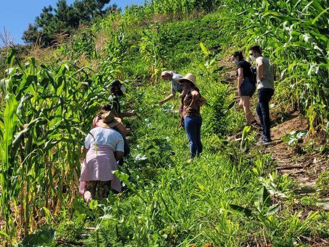 Cozinheiras e agricultores se unem para promover novos sabores na alimentação escolar de Vidal Ramos