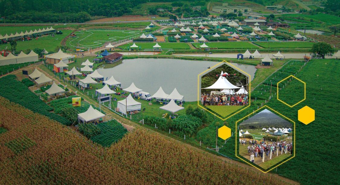 Cravil anuncia 17ª edição do Dia de Campo com foco em tecnologia e capacitação