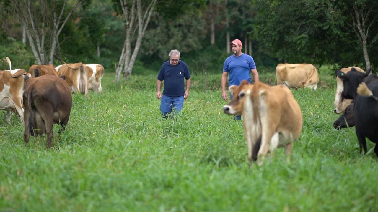 Cravil estima impacto de R$ 200 milhões na agropecuária com aumento do ICMS 
