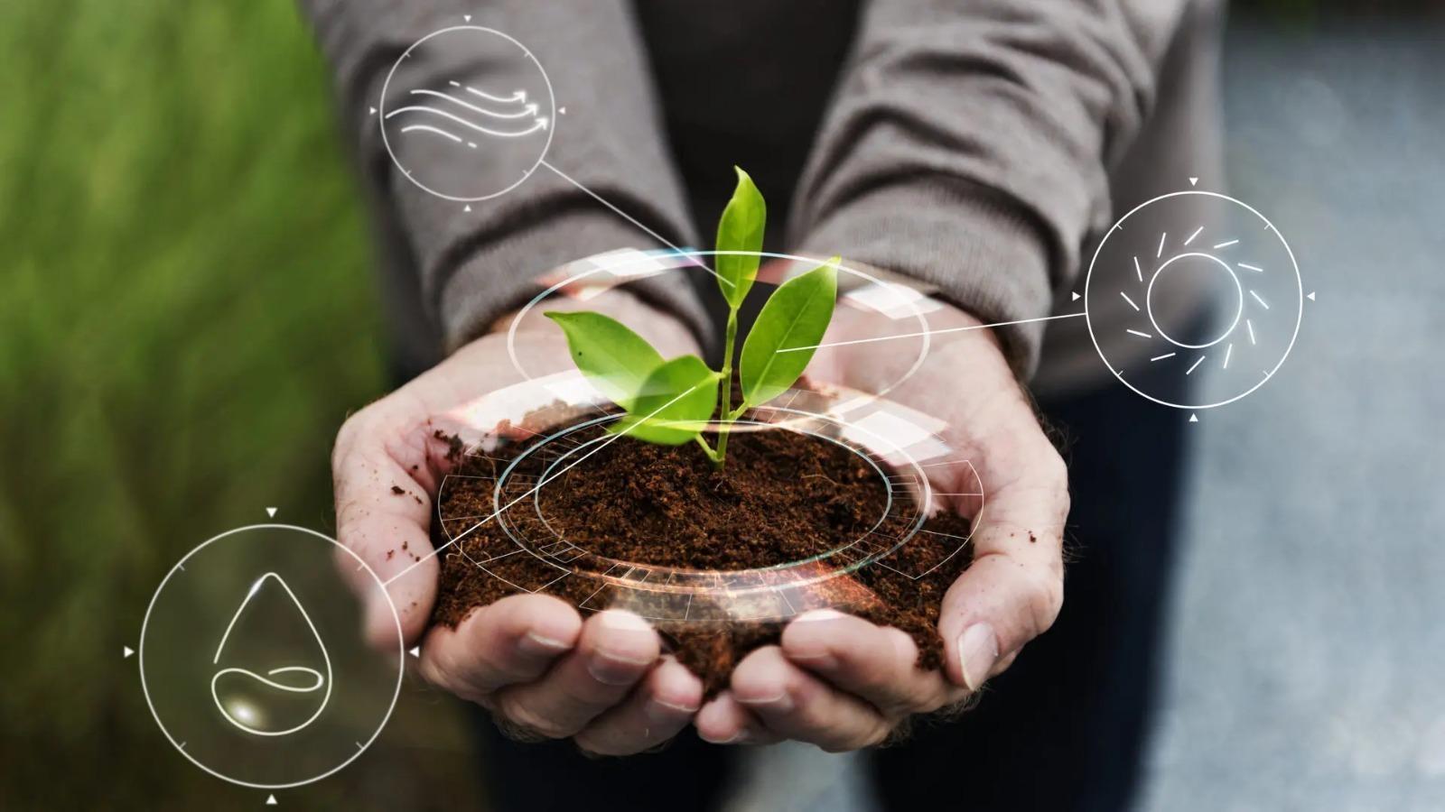 Crianças e adolescentes do Alto Vale podem ser conscientizadas sobre agricultura regenerativa