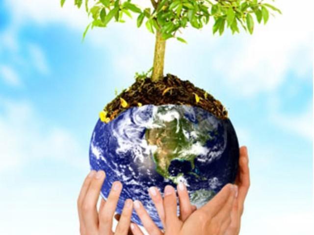 Projeto de Educação Ambiental deve ser desenvolvido nesse ano em escolas de Ituporanga