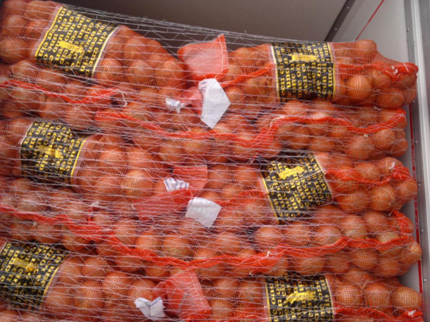 Dados apontam aumento na importação de cebola no país