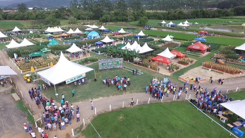 Dia de Campo Cravil será realizado em Lontras