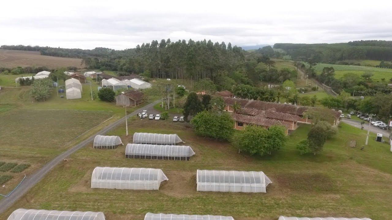 Dia de Campo na Estação Experimental da Epagri de Ituporanga é adiado devido à previsão de chuva