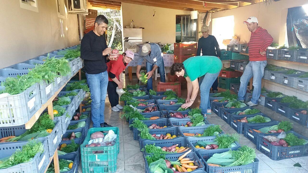 Dia do Colono: os desafios e as mudanças constantes nas propriedades para seguir na agricultura