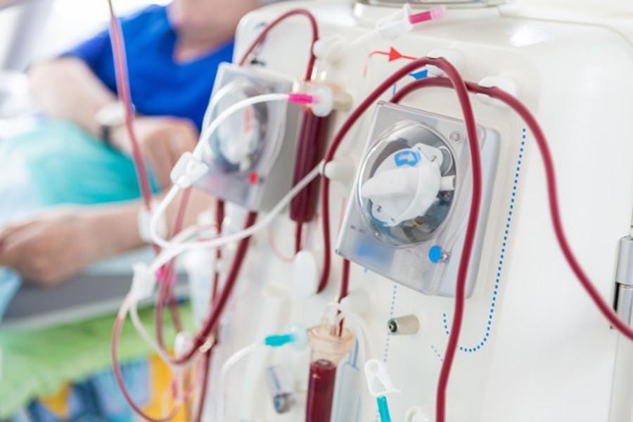 Dia Mundial do Rim: conheça o trabalho da Associação Renal Vida