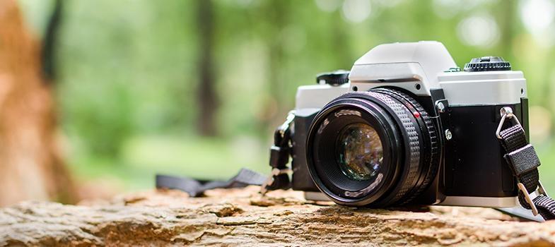 Dia Nacional da Fotografia: conheça um pouco sobre o trabalho de quem eterniza momentos e paisagens