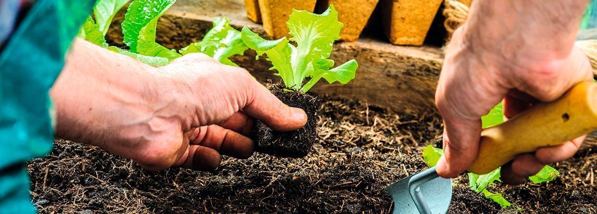 Diretrizes para fortalecimento da agroecologia é elaborada durante seminário no Alto Vale