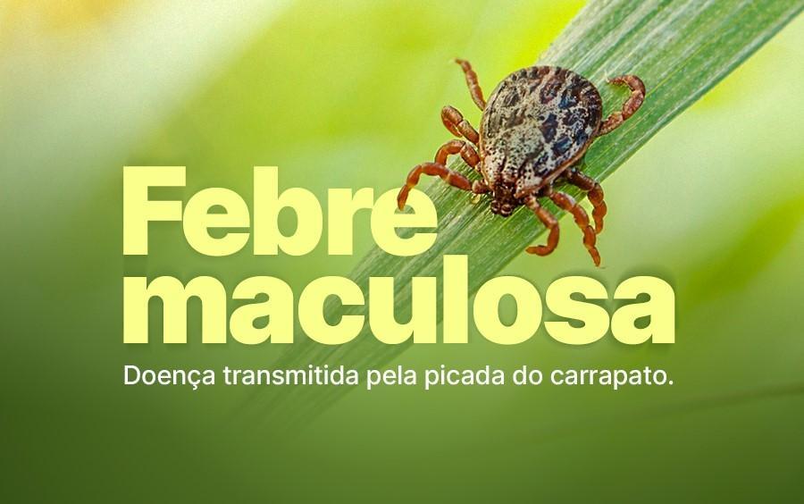 Dive esclarece casos de febre maculosa no estado