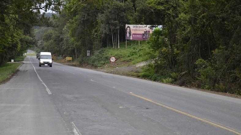 Dnit lança licitação para corte de árvores na BR-470