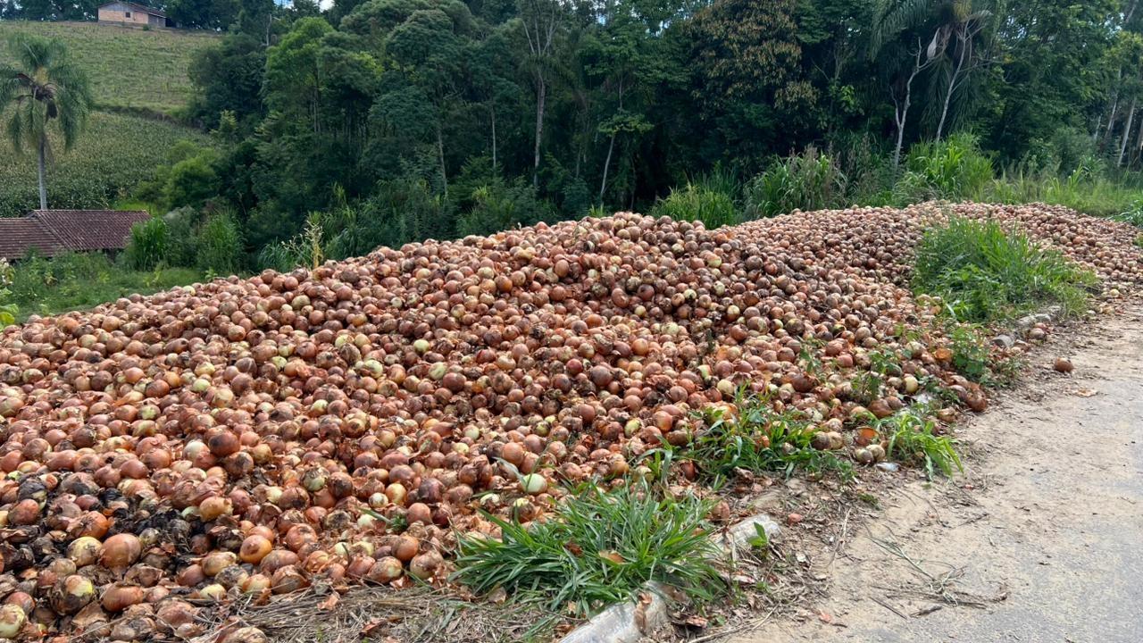Donos de terreno afirmam que não permitiram descarte de novas cebolas na localidade de Nova Itália