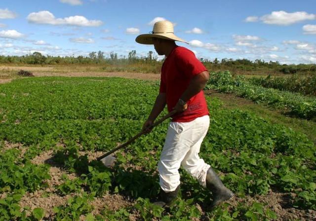 Campanha da Epagri incentiva agricultores sobre o uso do chapéu