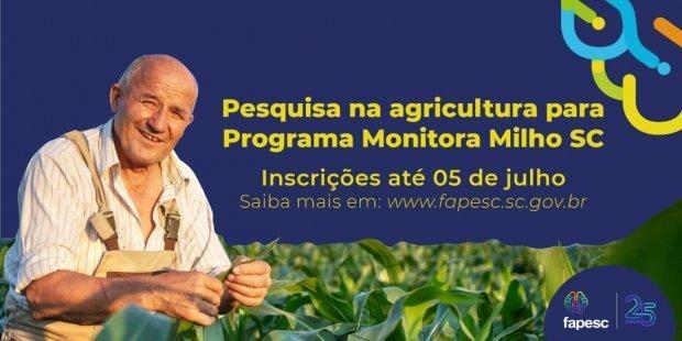 Edital seleciona pesquisa aplicada para o Programa Monitora Milho SC