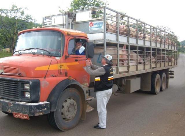 Novas regras para a Guia de Transito Eletrônica entram em vigor