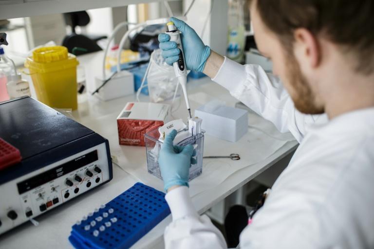 Empresa de biotecnologia busca vacina para coronavírus com folhas de tabaco