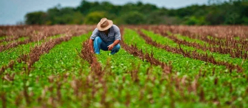 Encerra nesta sexta-feira (30) o prazo para entrega da Declaração de Produtividade Rural em Ituporanga