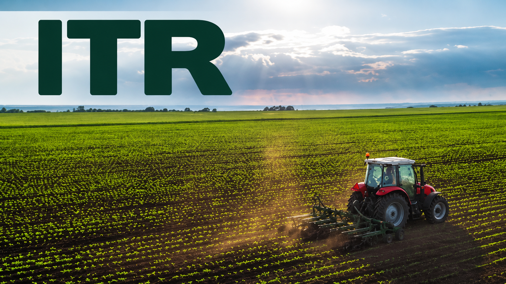 Entre os erros mais comuns no ITR, estão divergências de dados declarados