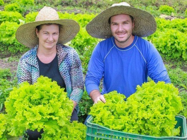 Epagri apresenta agricultores que encontraram alternativas ao cultivo de tabaco