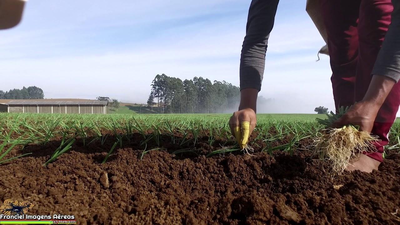 Epagri apresenta balanço dos trabalhos realizados em 2020