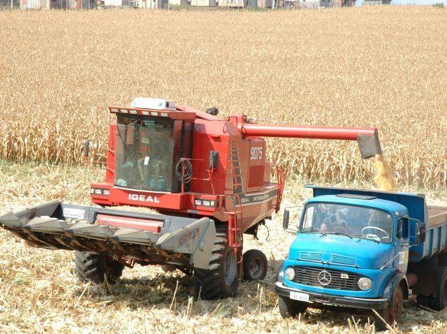 Epagri/Cepa estima aumento na produção das principais culturas agrícolas na safra verão 2024/2025