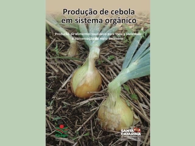 Epagri de Ituporanga lança cartilha sobre produção de cebola orgânica