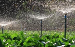 Epagri de Ituporanga recebe reforço para pesquisa em irrigação e controle de plantas daninhas