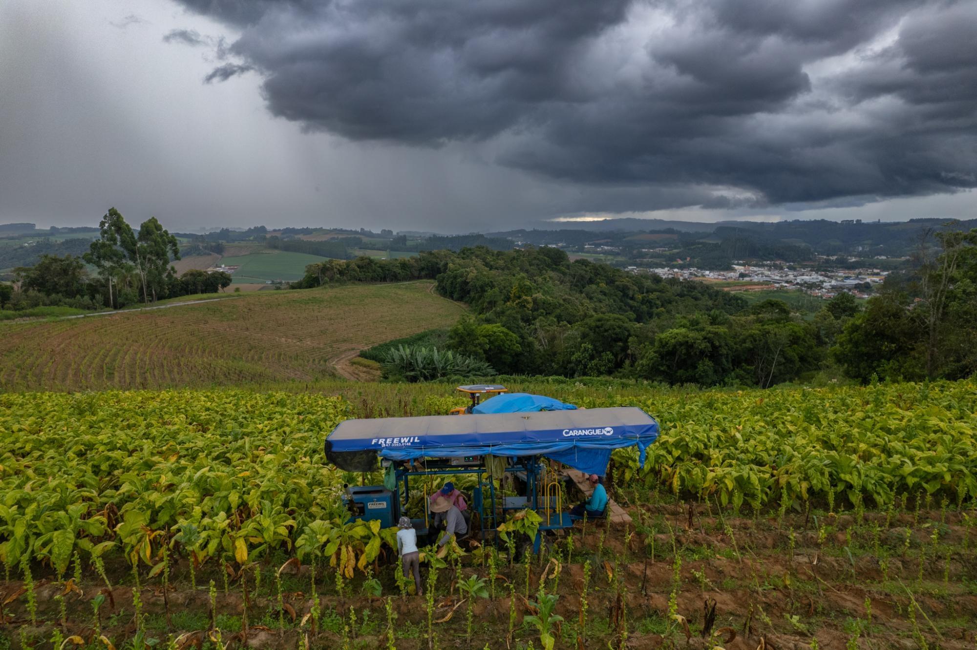 Epagri estima prejuízos de mais de R$ 1 bilhão na agricultura do Alto Vale por conta das chuvas de outubro e novembro
