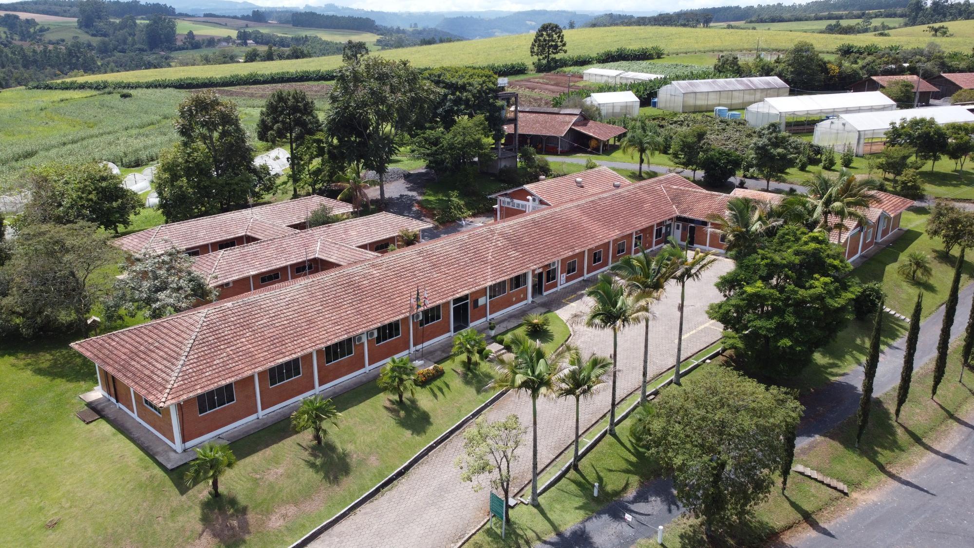 Epagri seleciona quatro bolsistas para projeto com híbridos de cebola; Valor ultrapassa os R$5 mil