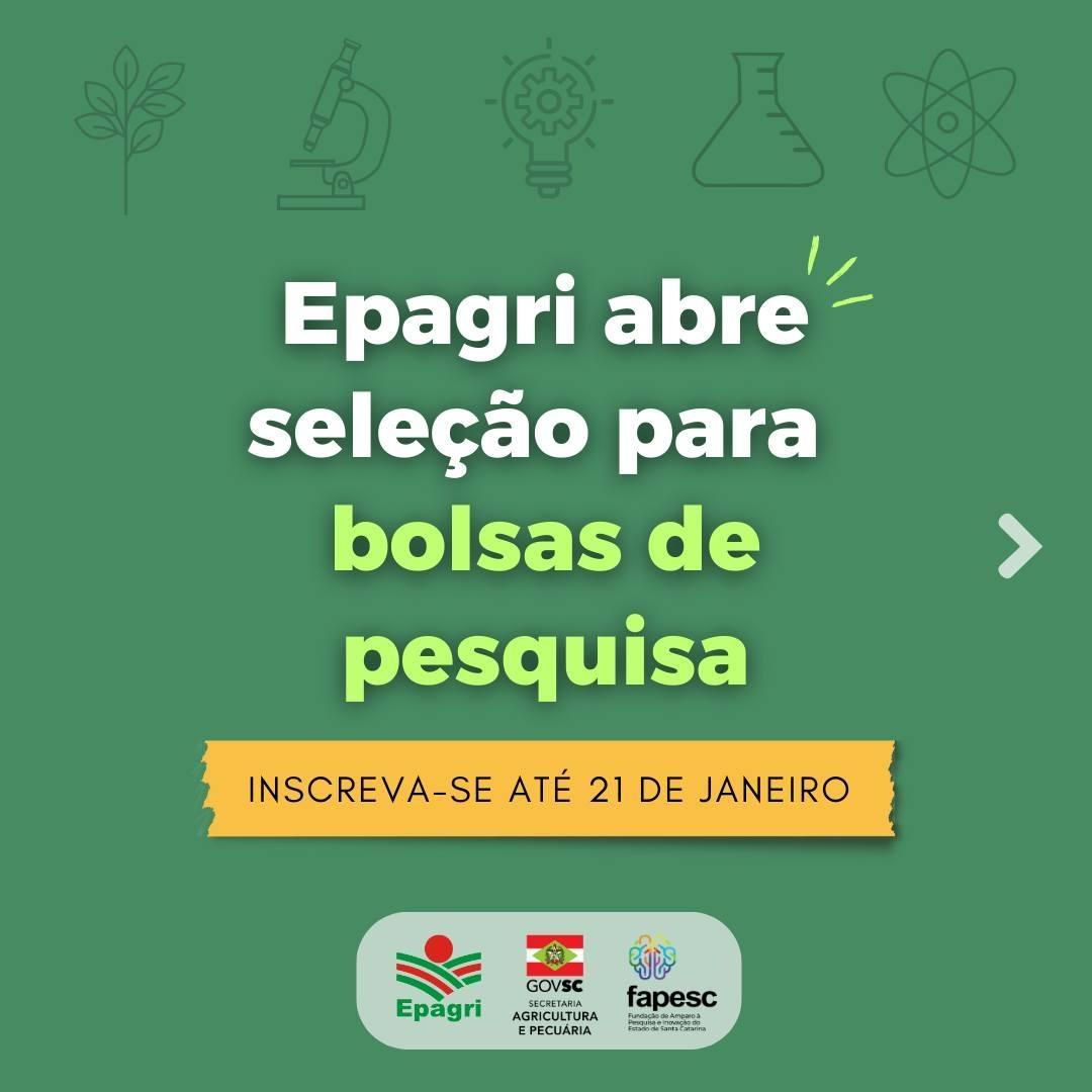 Estação experimental da Epagri de Ituporanga tem vagas abertas para estágio de pesquisa