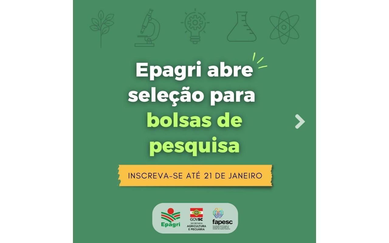 Estação experimental da EPAGRI de Ituporanga tem vagas abertas para estágio de pesquisa