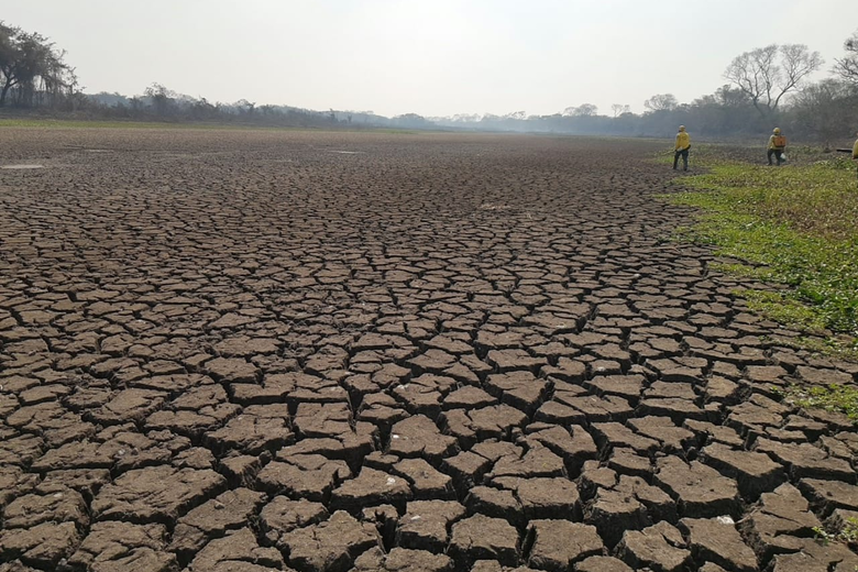 Estiagem em Santa Catarina faz 80 cidades decretarem situação de emergência 