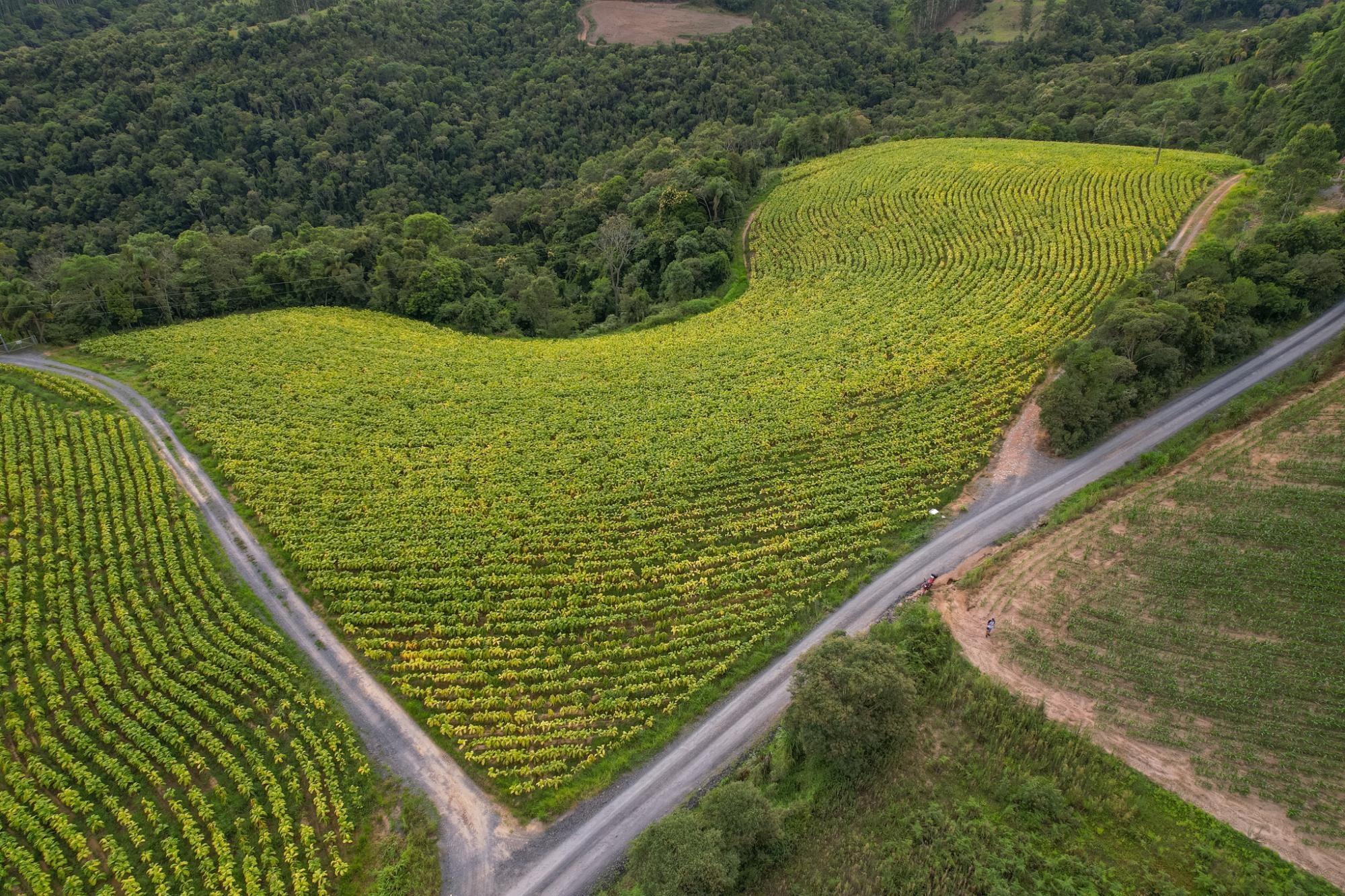 Faesc auxilia agricultores na migração pra nota eletrônica de produtor rural