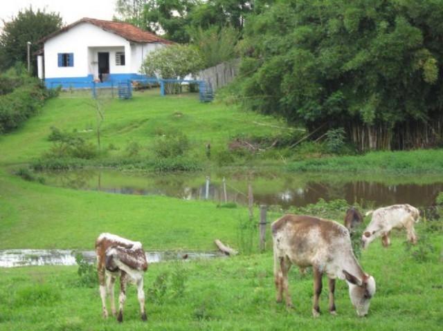 Proprietários de imóveis rurais precisam atualizar o INCRA