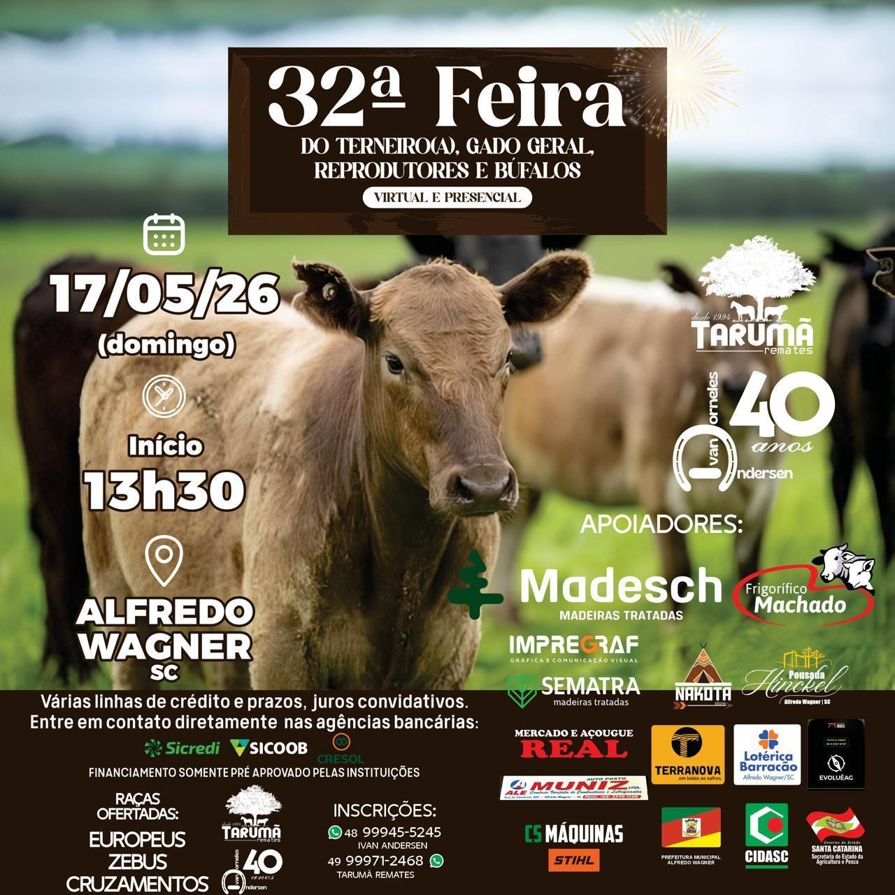 Feira de gado em Alfredo Wagner terá quase 400 animais inscritos