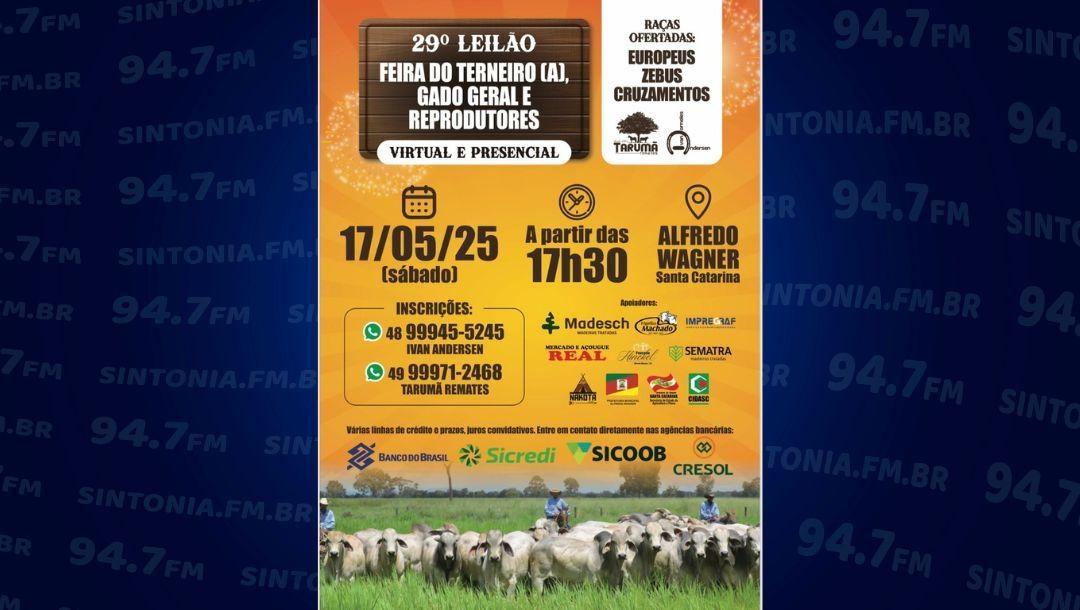 Feira de gado em Alfredo Wagner terá terneiros búfalos