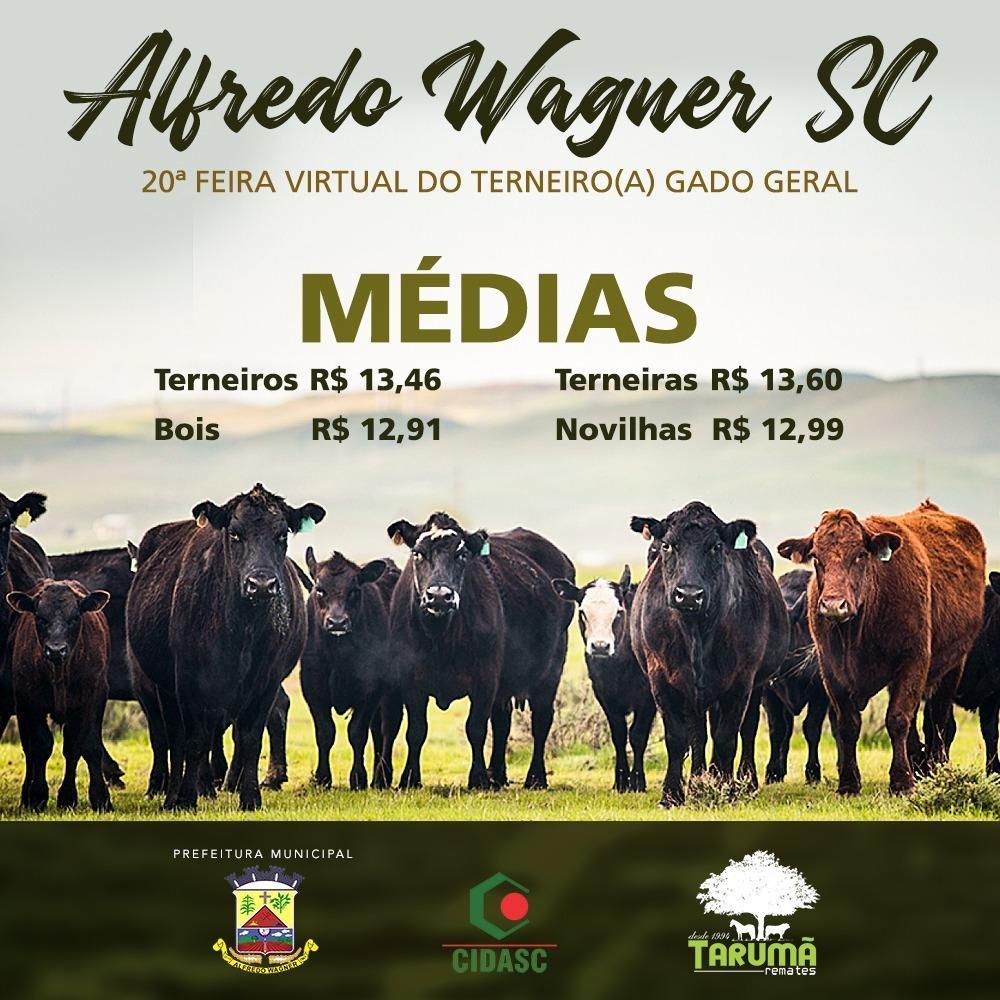 Feira do Gado em Alfredo Wagner negocia quase 470 animais durante o fim de semana