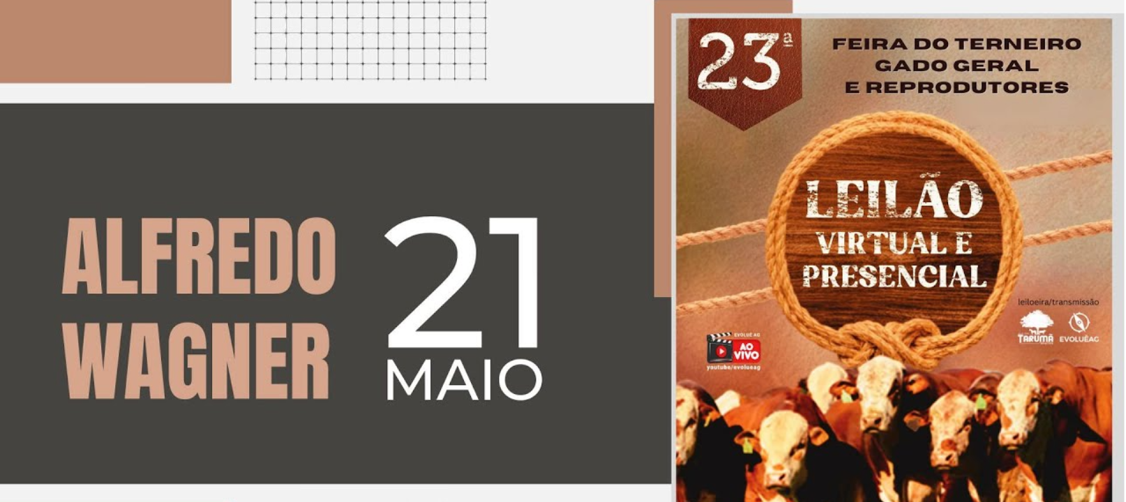 Feira do Gado será realizada neste domingo (21) em Alfredo Wagner