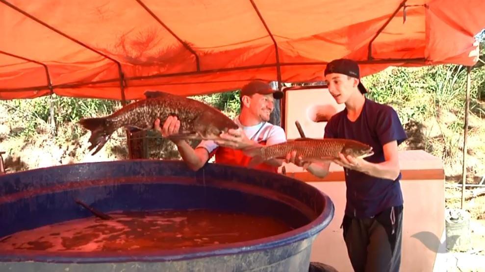 Feira do Peixe movimenta Aurora e gera bons resultados para associação de piscicultores
