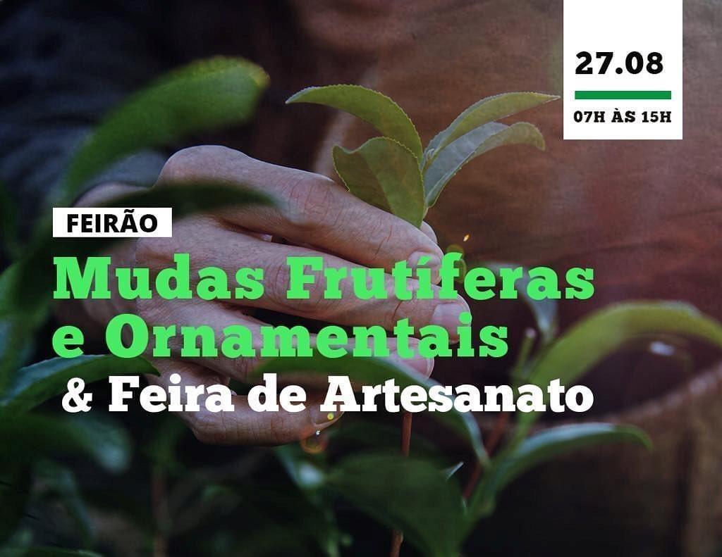 Feirão de Mudas Frutíferas e Ornamentais será realizado em Imbuia no Parque da Femive