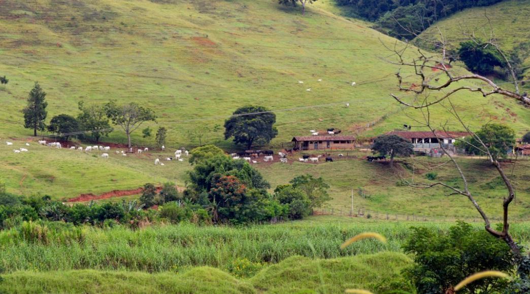Fetaesc alerta agricultores sobre preenchimento da declaração do ITR