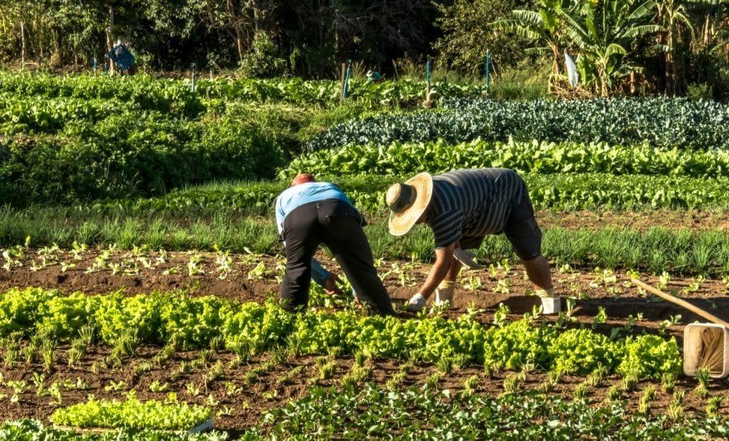 Fetaesc participa do Congresso Nacional de Trabalhadores e Trabalhadoras Rurais