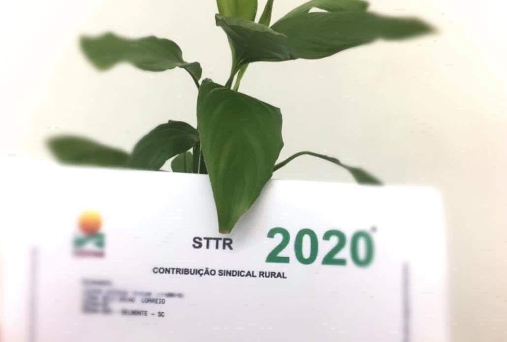 Fetaesc pede que agricultores façam de forma voluntária a contribuição sindical