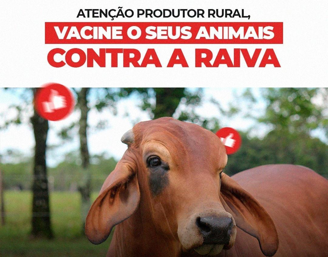 Foco de raiva herbívora é identificado em Vidal Ramos; secretário destaca importância de vacina do rebanho