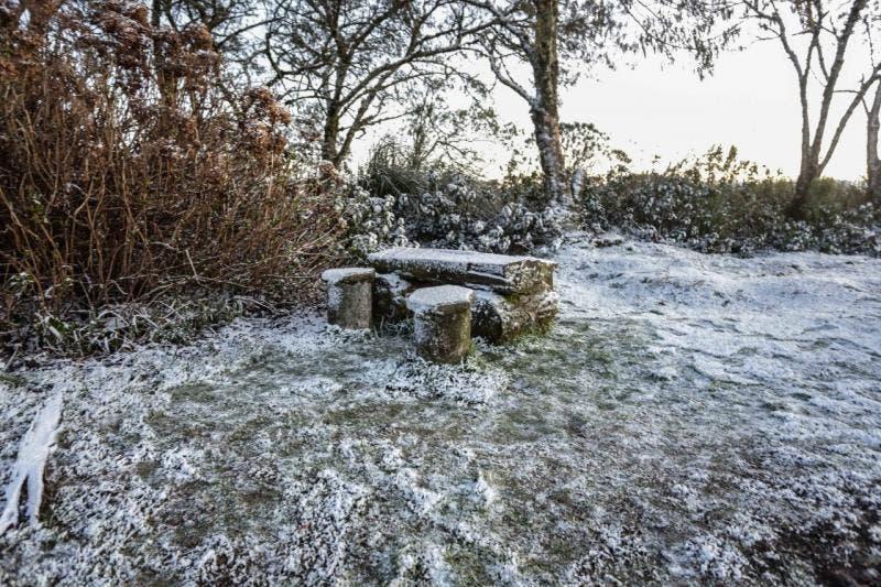 Frio em SC: Estado registra 40 cidades com temperaturas negativas