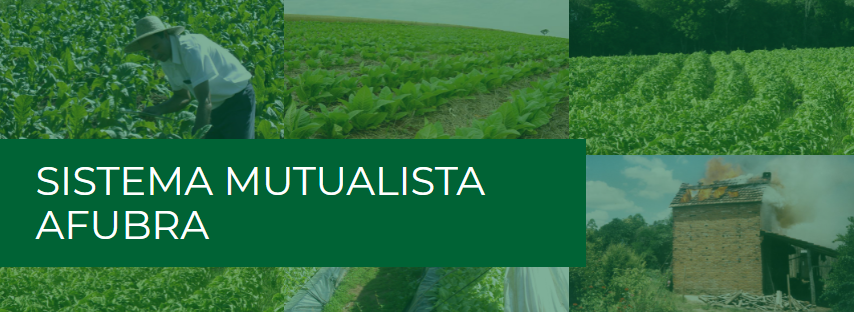 Fumicultores tem até dia 1º de novembro para ingressar no sistema mutualista da Afubra