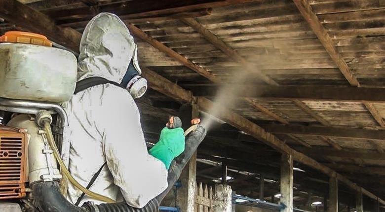 Golpe da dedetização afeta moradores do Alto Vale
