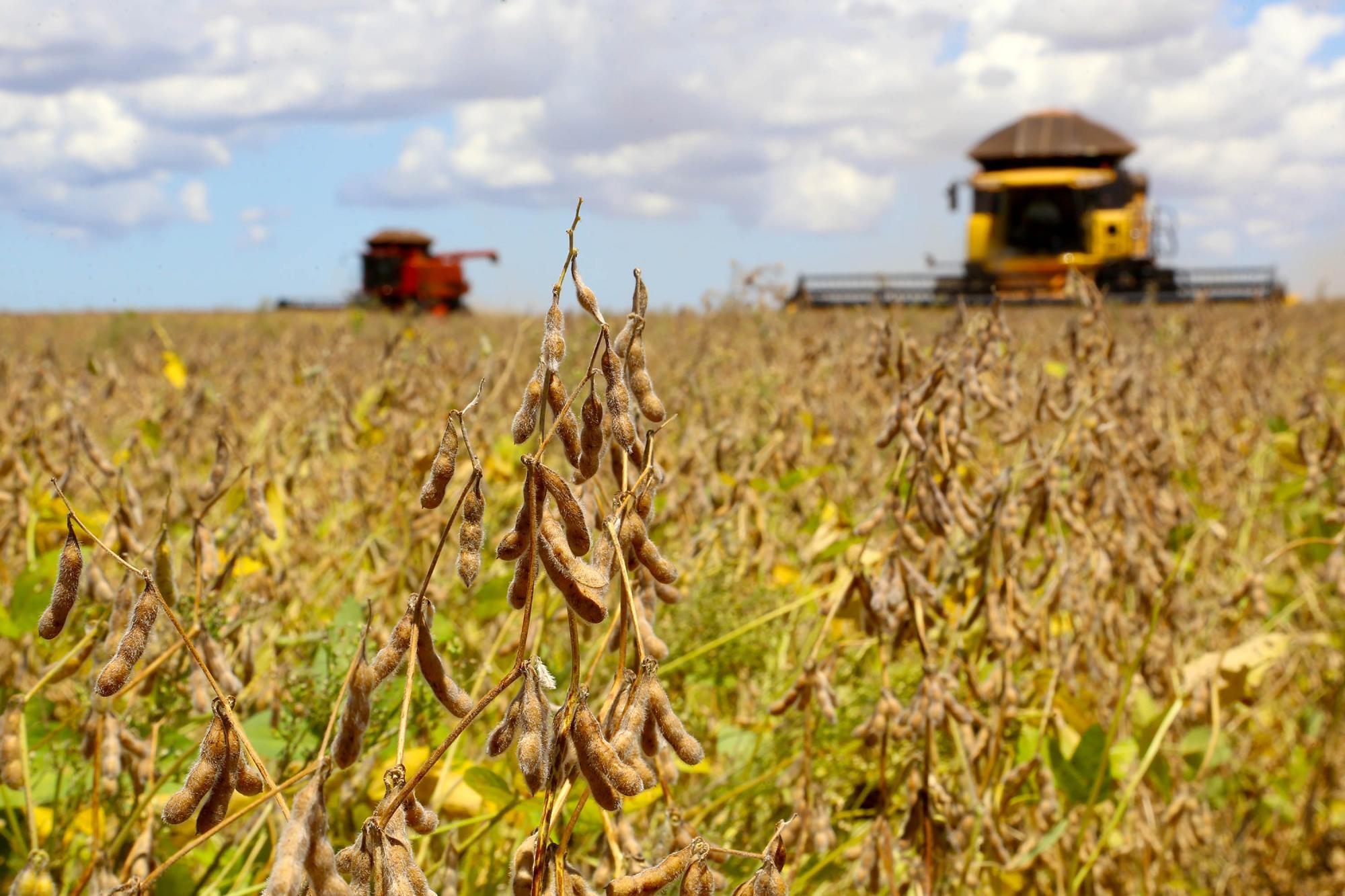 Governo de SC lança Programa Terra Boa 2025 com investimento recorde de R$ 116,8 milhões